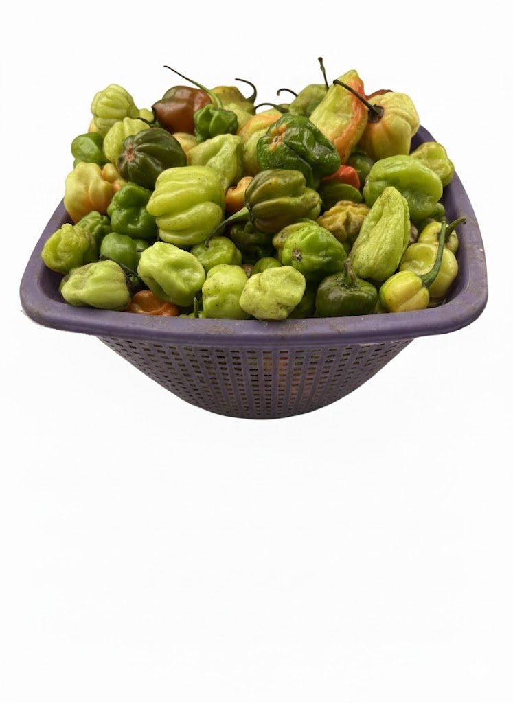 Ata Dudu (green Habanero Pepper)  Small Basket