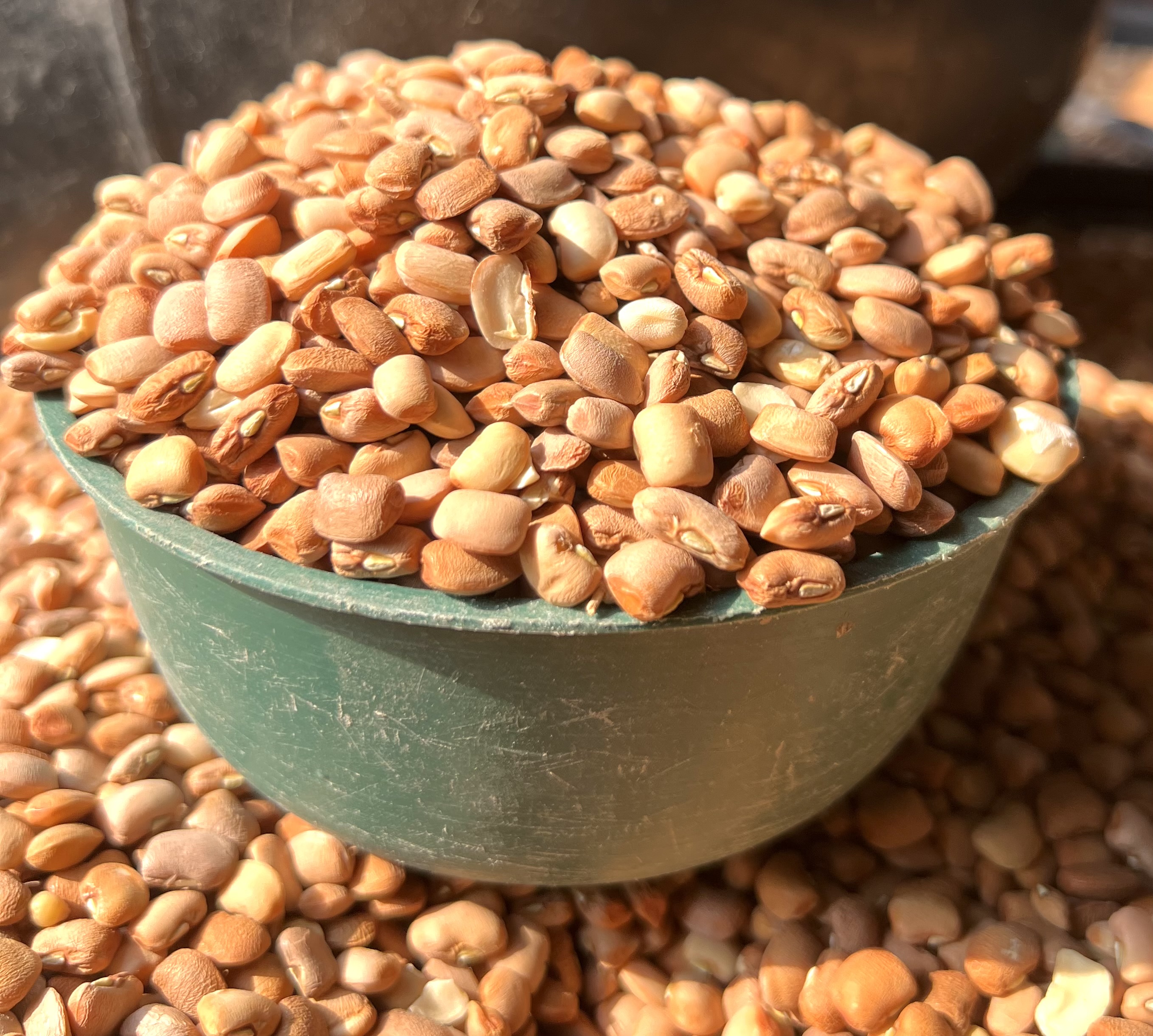 Brown Beans- Pewu (half Plastic)