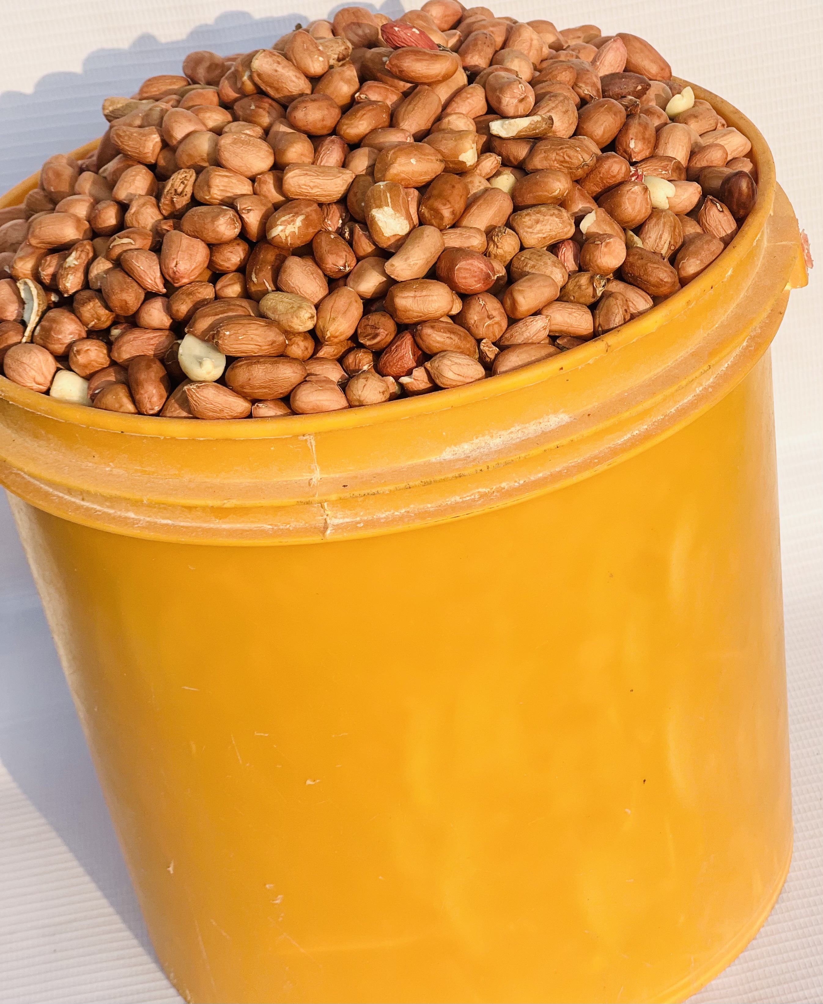 Groundnut(paint Bucket)