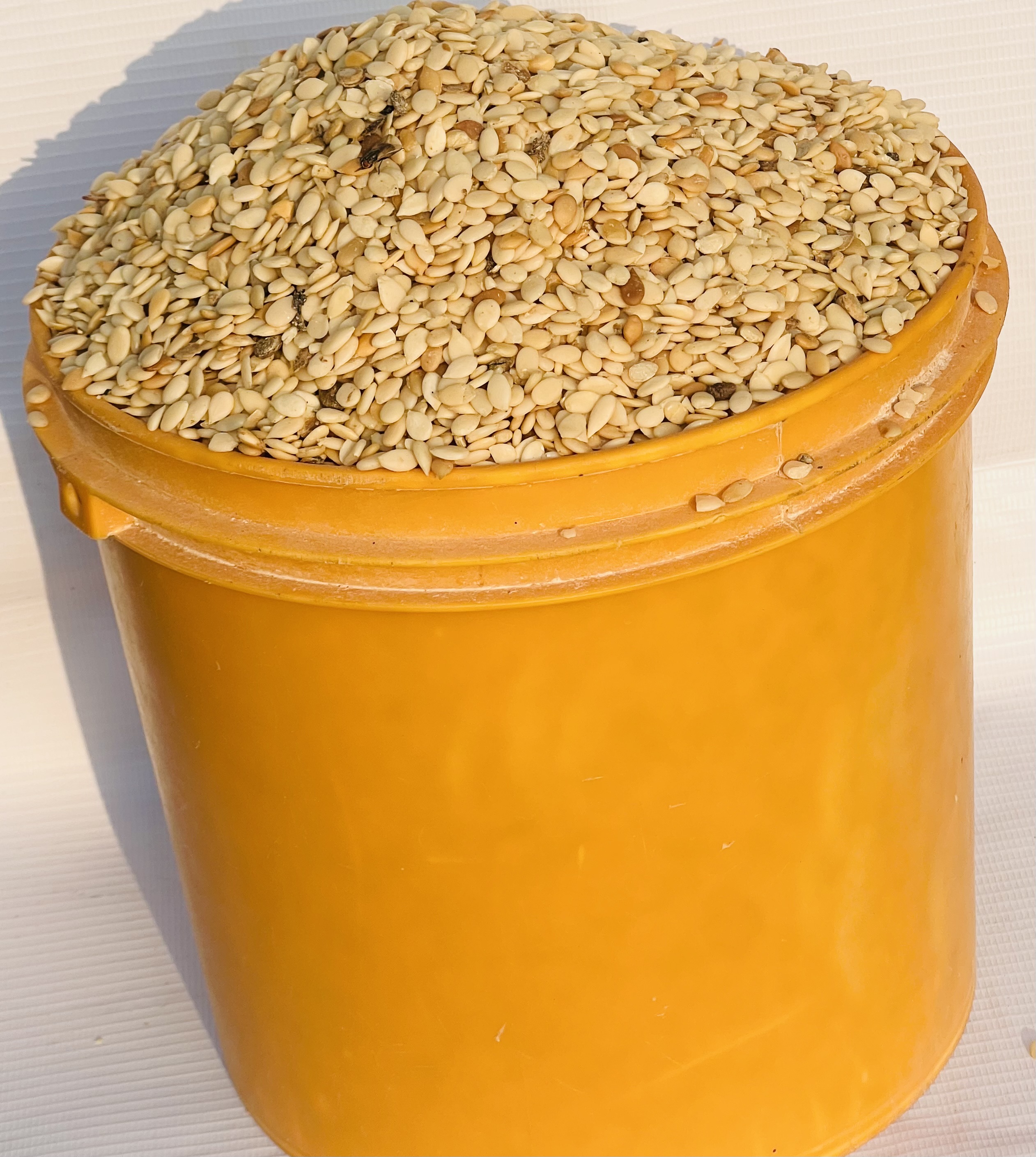 Egusi -small Seed (paint Bucket)