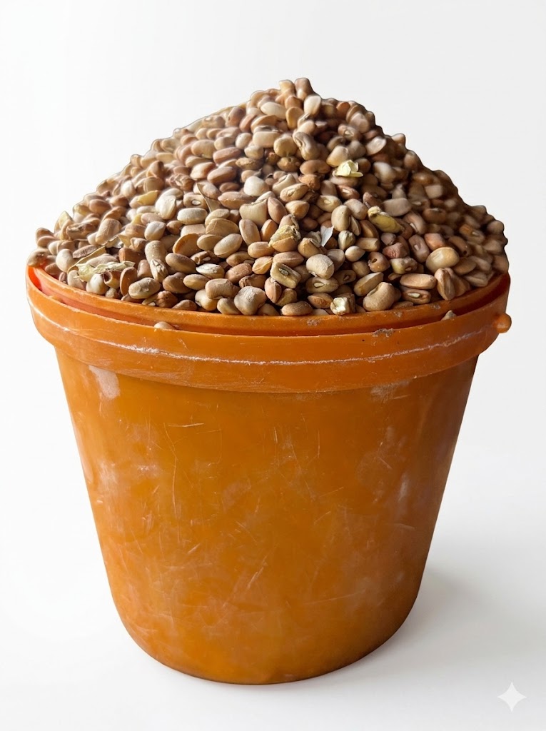 White Beans(paint Bucket)