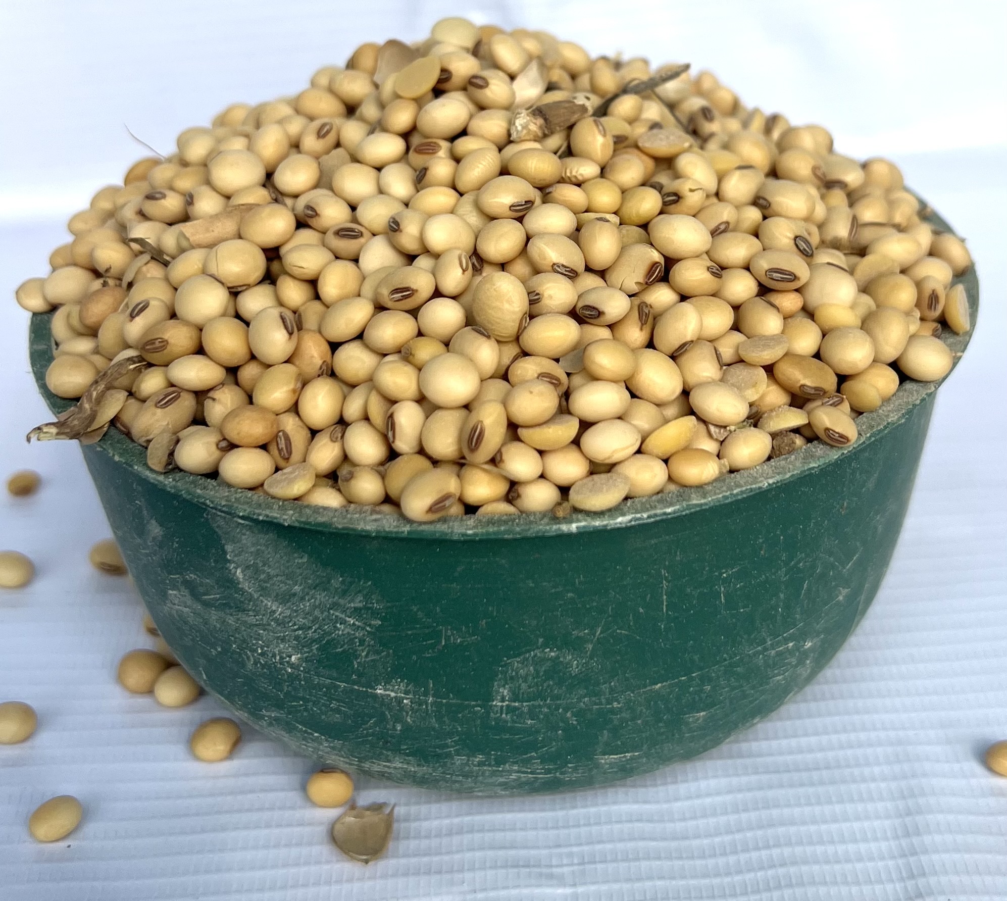Soya Beans (half Plastic)