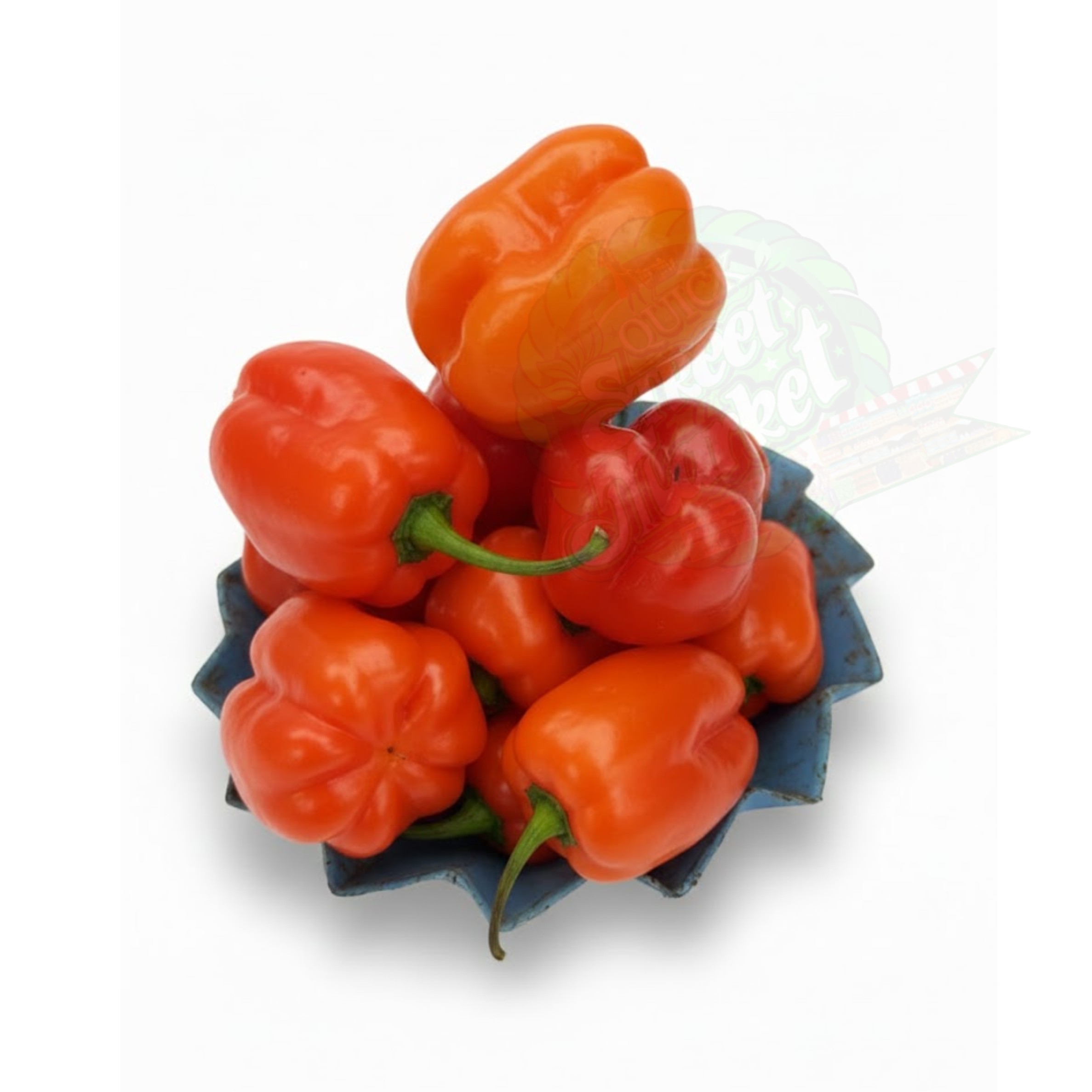 Ata Rodo  (habanero Pepper)   Half Plate
