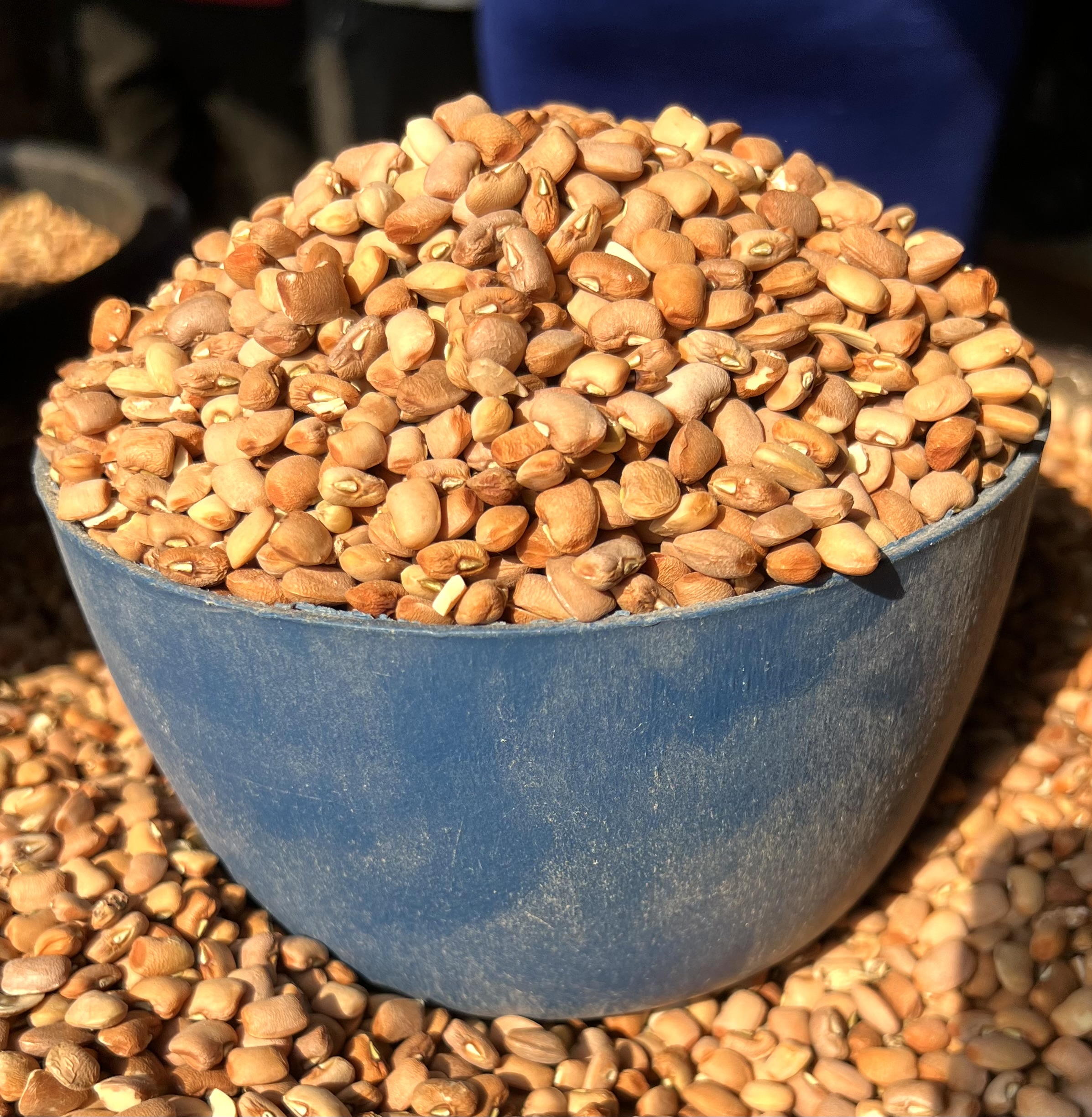 Brown Niger Beans (plastic)