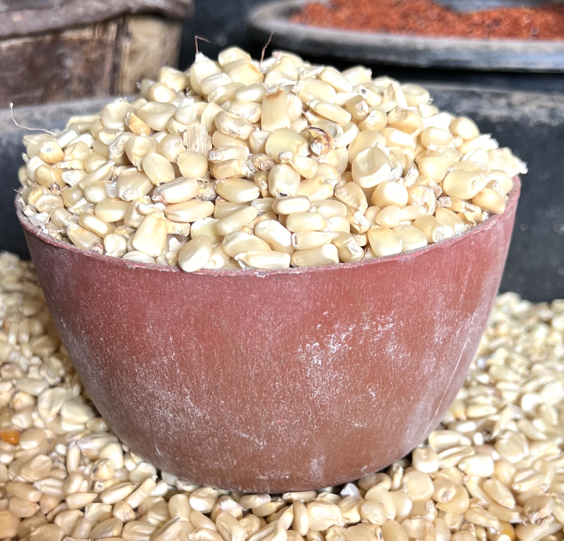 White Maize (plastic)