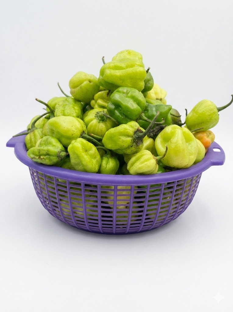 Ata Dudu (green Habanero Pepper)   Medium Basket