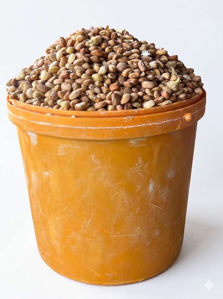 Oloyin Honey Beans (paint Bucket )