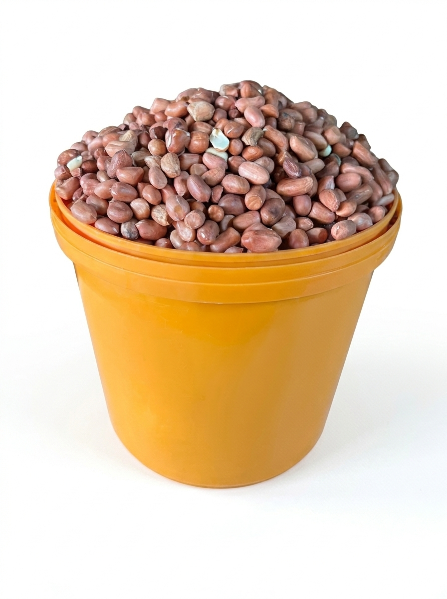 Groundnut(paint Bucket)