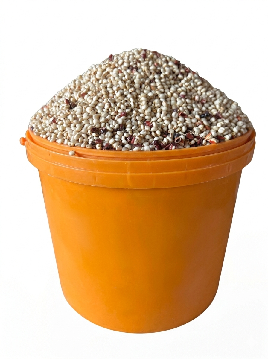 Guinea Corn - White (paint Bucket)