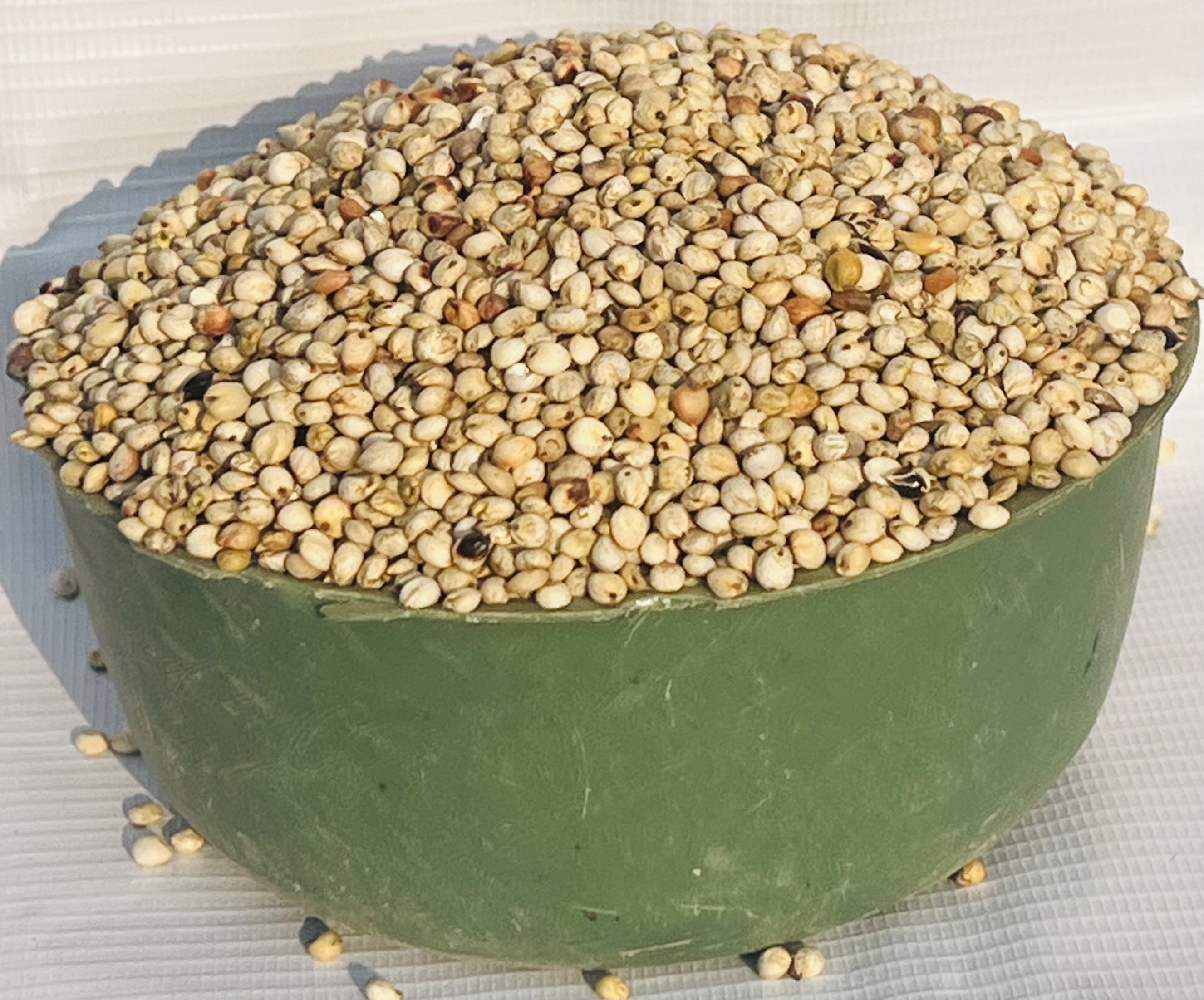 Guinea Corn - White (half Plastic)