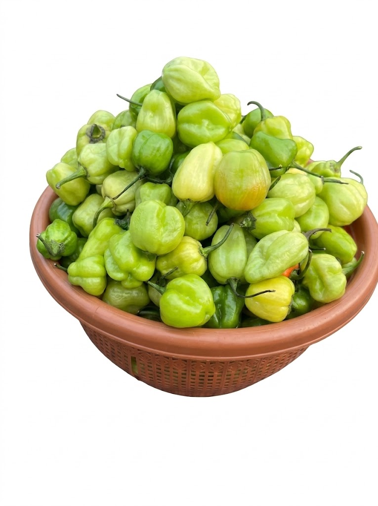 Ata Dudu (green Habanero Pepper)   Basket