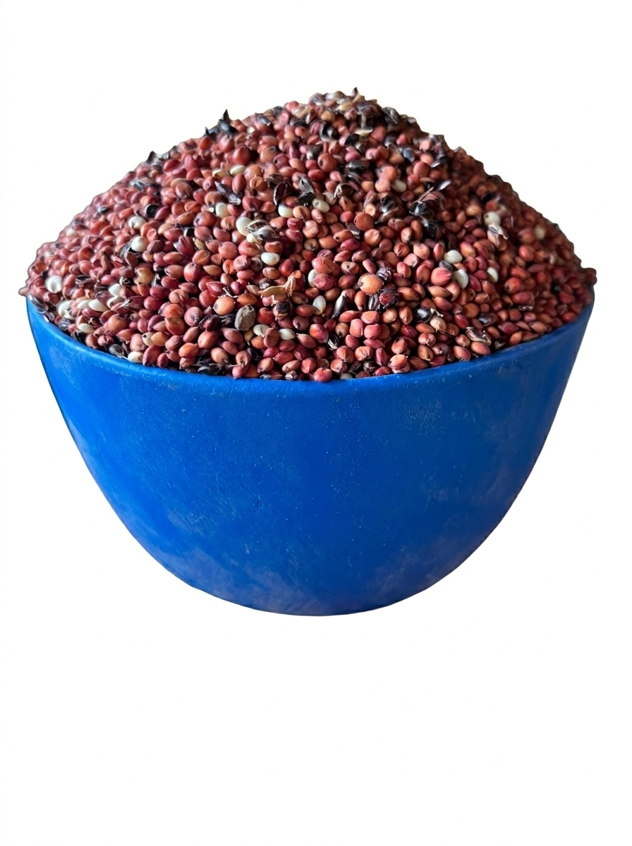Guinea Corn - Red (plastic)
