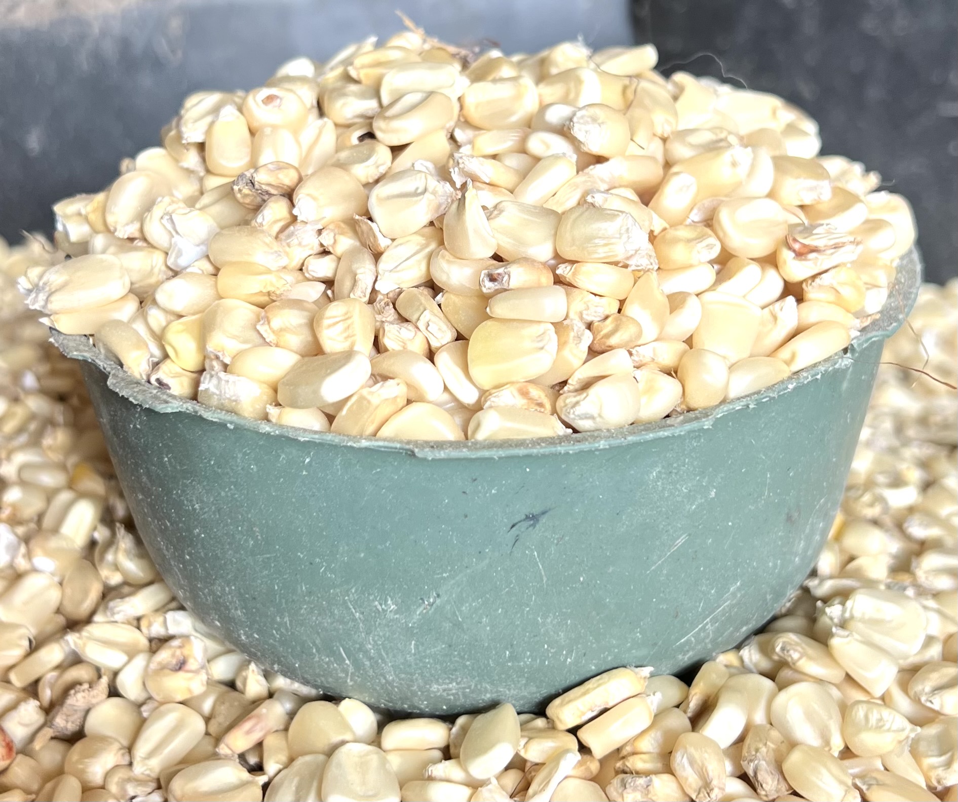 White Maize(half Plastic)