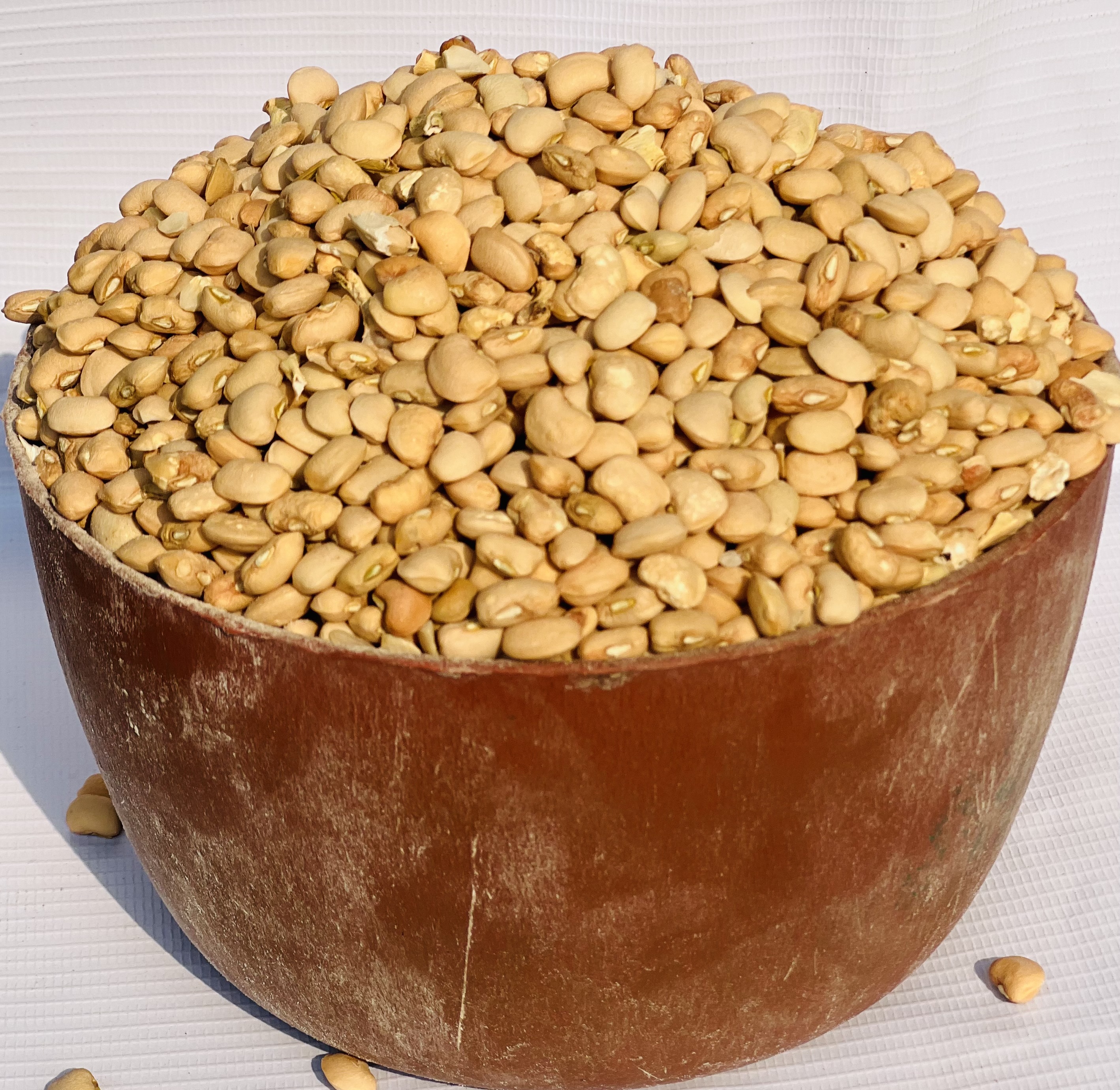 Milk Beans (plastic)