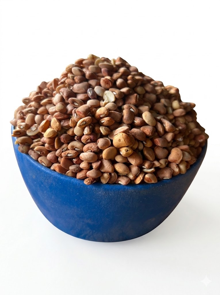Brown Beans (plastic)