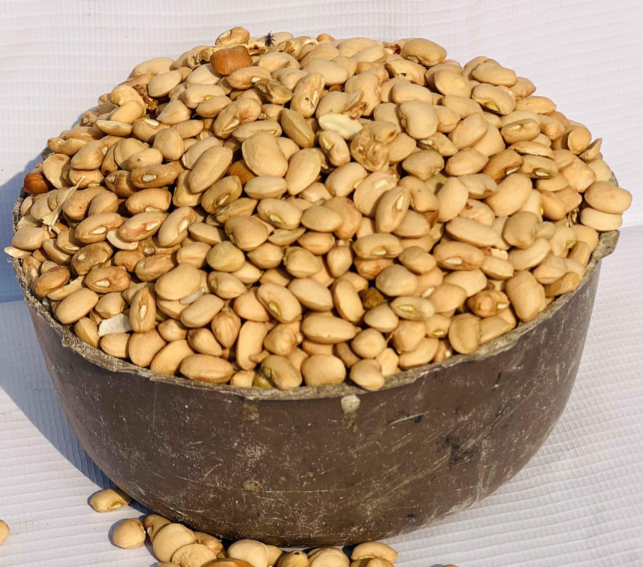 Honey Beans - Oloyin (half Plastic)