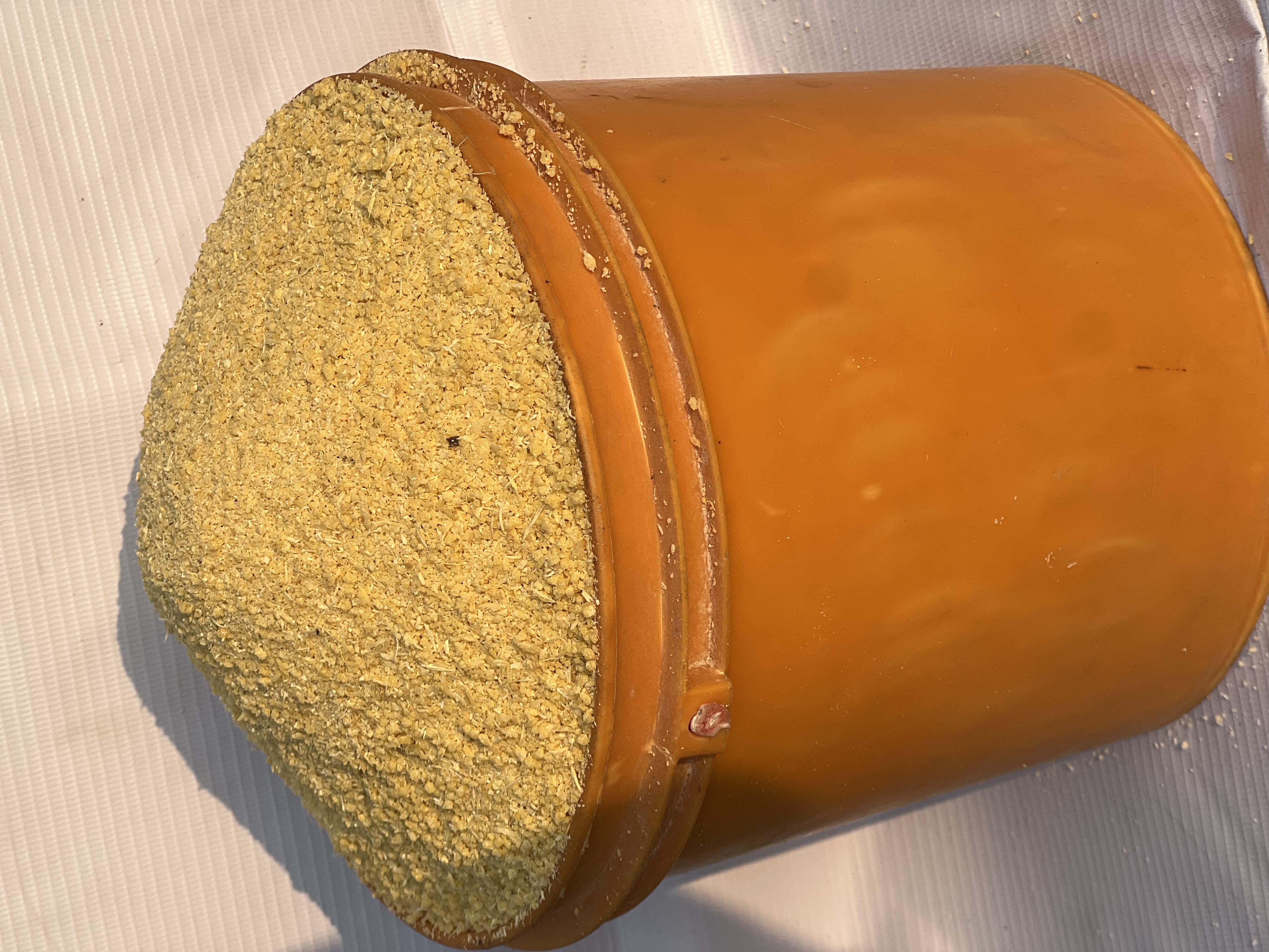 Yellow Garri(paint Bucket)