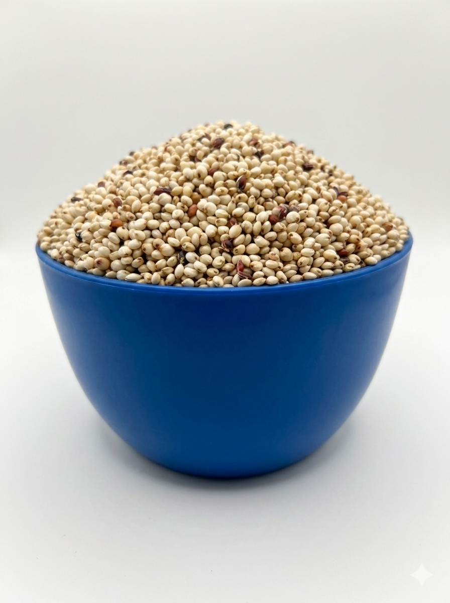 Guinea Corn - White (plastic)