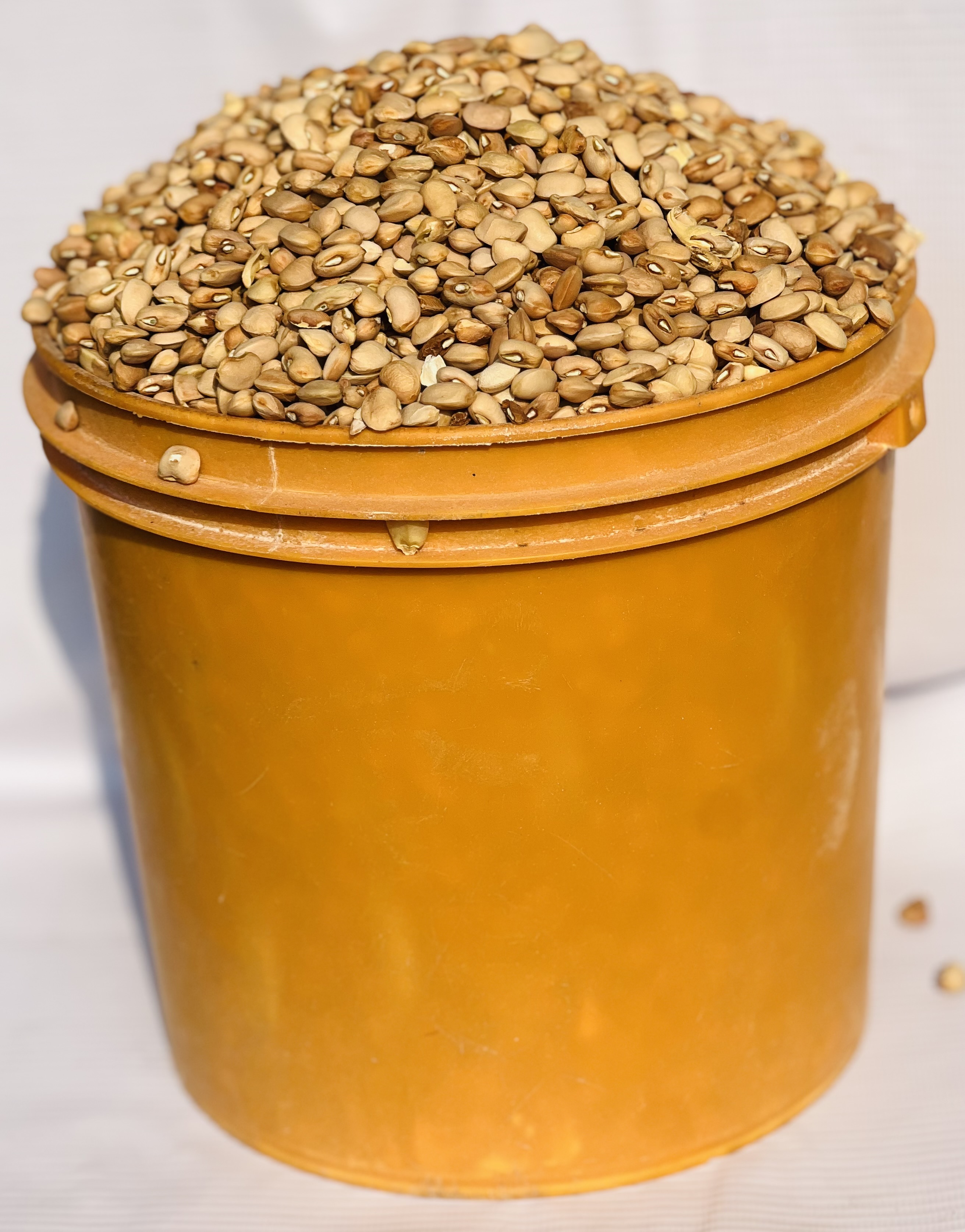 Olo Beans (paint Bucket)